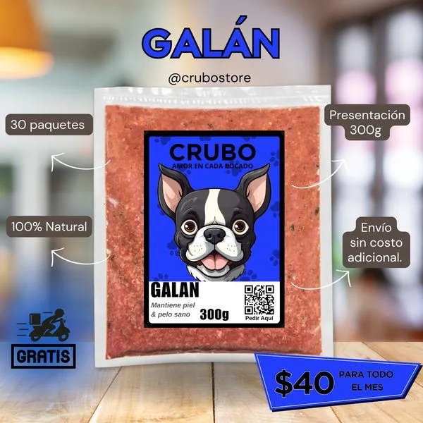5 mitos de la comida cruda para perros
