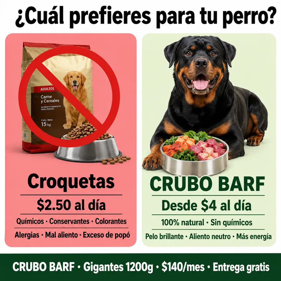 Comparación entre croquetas procesadas y dieta BARF natural para perros